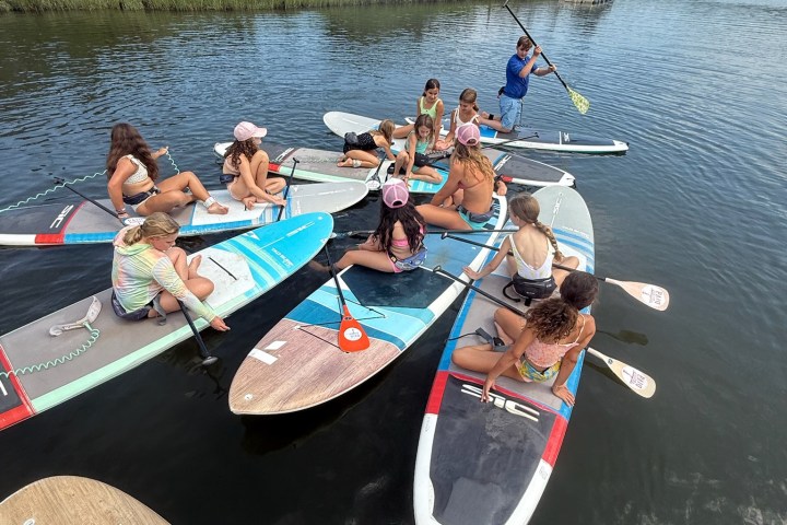 Group of people on paddleboards gathered on a calm lake under a clear sky.